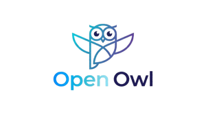 Winter Owls